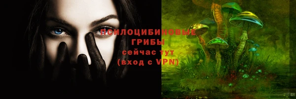 прущий лед Алексеевка