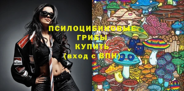 прущий лед Алексеевка
